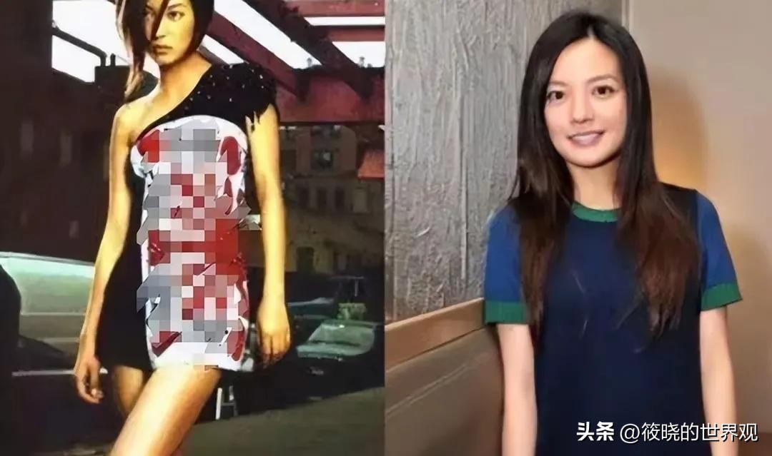 赵薇现在还在娱乐圈吗_赵薇小燕子近况_赵薇被封杀原因分析