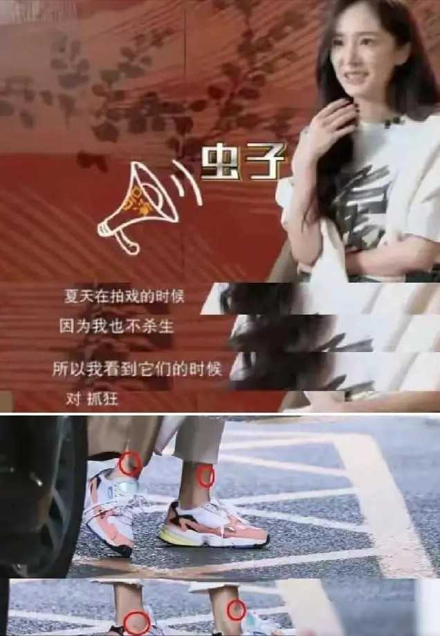 娱乐圈明星饮食背后故事_明星吃黑料理,_明星素食信仰真实性